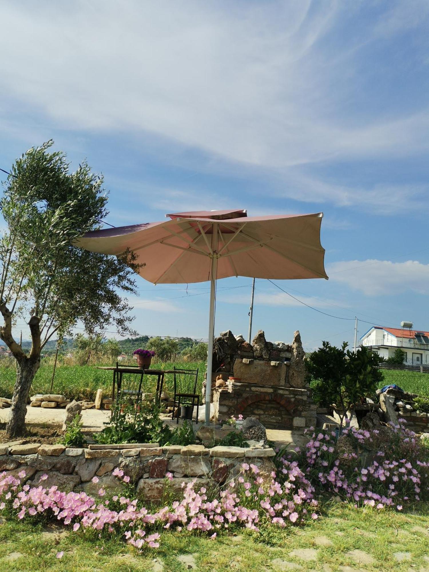 Gostime Hotel Bora מראה חיצוני תמונה